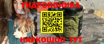 a pvp Будённовск