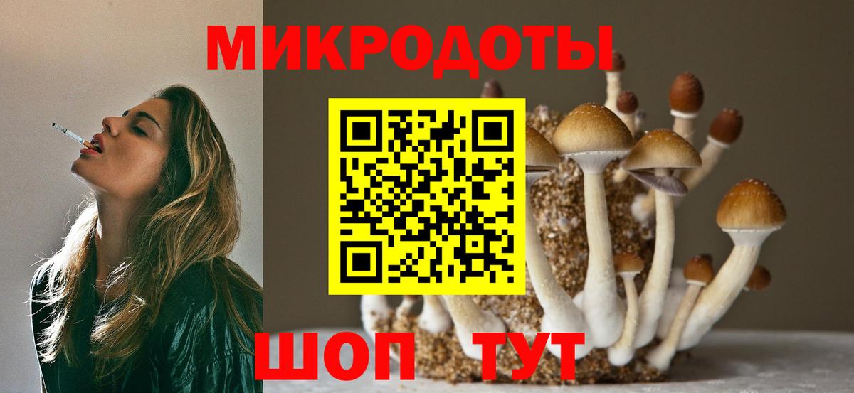 Псилоцибиновые грибы прущие грибы Крымск