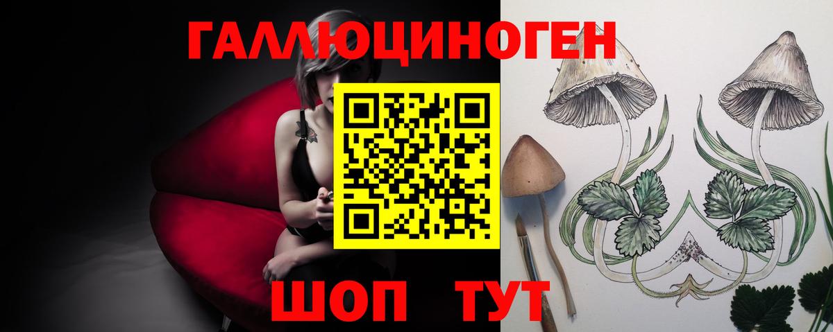 Крымск  Псилоцибиновые грибы ЛСД  Галлюциногенные грибы прущие грибы  Вход с VPN 